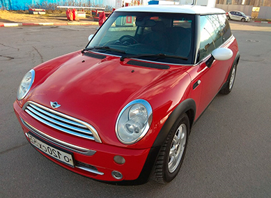 Mini
